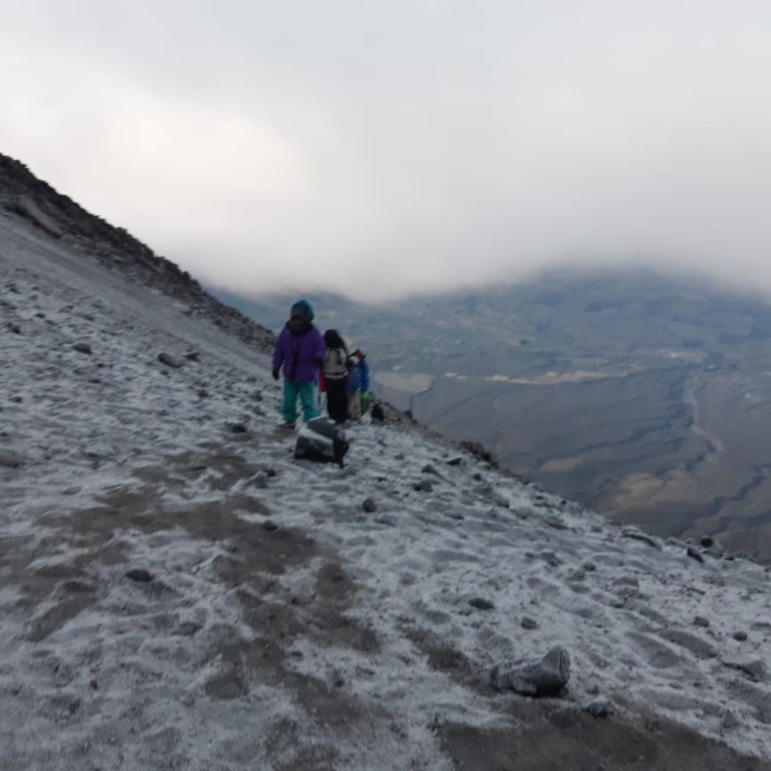 xr:d:DAFealf-v6s:9,j:1637081988,t:23032719
