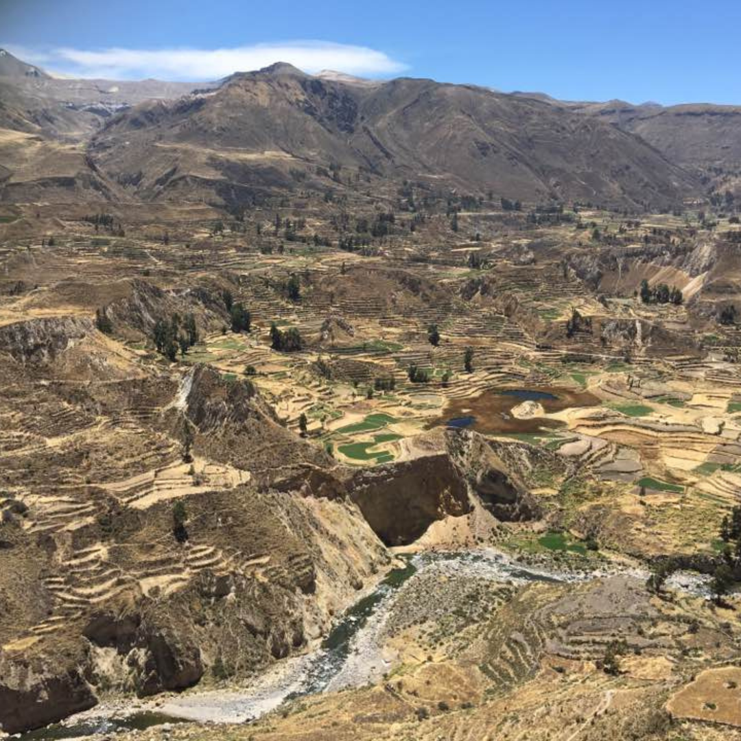 colca7