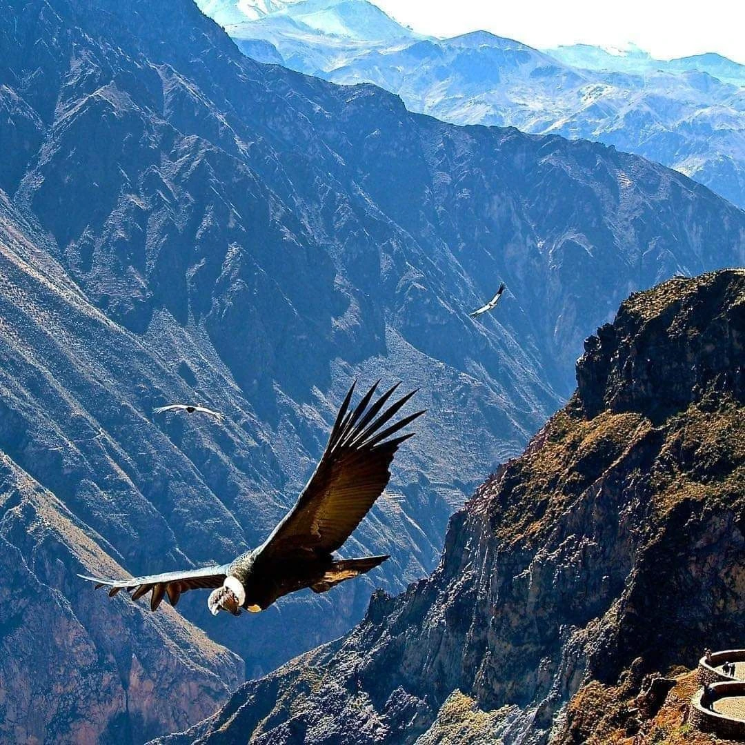 Trekking Arequipa 2