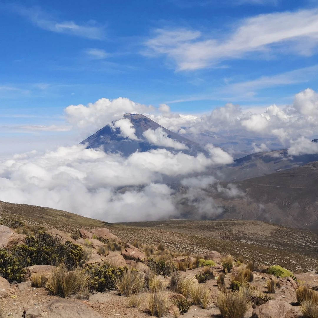 Experiencia Travel Club