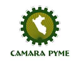 Certificación 6